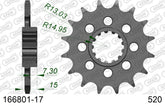 Pignone AFAM 166801-17 passo 520 BMW HP4 RACE 1000 2017  -2018